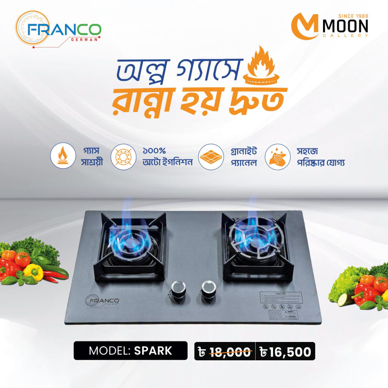 Gas Stove